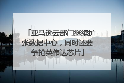 亚马逊云部门继续扩张数据中心，同时还要争抢英伟达芯片
