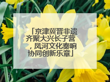 京津冀晋非遗齐聚大兴长子营，凤河文化奏响协同创新乐章