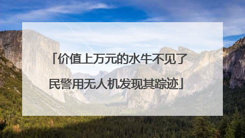 价值上万元的水牛不见了 民警用无人机发现其踪迹