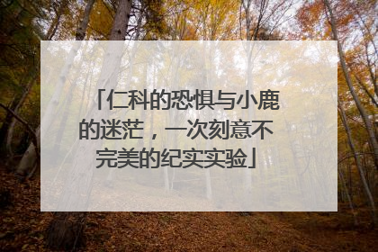 仁科的恐惧与小鹿的迷茫，一次刻意不完美的纪实实验