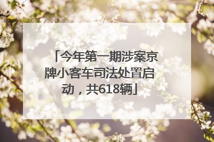 今年第一期涉案京牌小客车司法处置启动，共618辆
