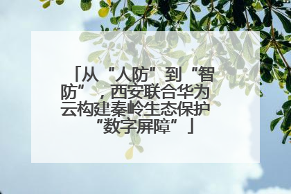 从“人防”到“智防”，西安联合华为云构建秦岭生态保护“数字屏障”
