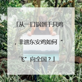 从一口锅到千只鸡，非遗东安鸡如何“飞”向全国？