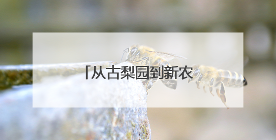从古梨园到新农店，“中国雪花梨之乡”如何在拼多多开启新篇章？