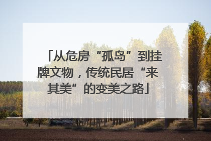 从危房“孤岛”到挂牌文物，传统民居“来其美”的变美之路