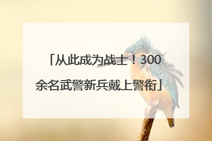 从此成为战士！300余名武警新兵戴上警衔