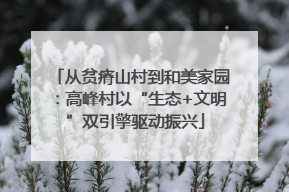 从贫瘠山村到和美家园：高峰村以“生态+文明”双引擎驱动振兴