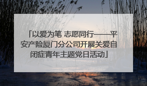 以爱为笔 志愿同行——平安产险厦门分公司开展关爱自闭症青年主题党日活动