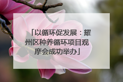 以循环促发展：耀州区种养循环项目观摩会成功举办