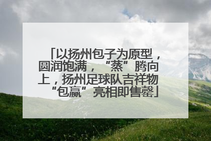 以扬州包子为原型，圆润饱满，“蒸”腾向上，扬州足球队吉祥物“包赢”亮相即售罄