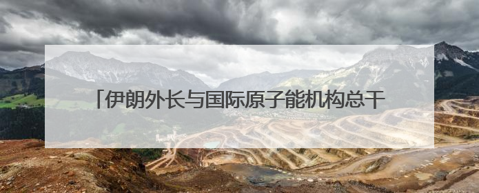 伊朗外长与国际原子能机构总干事同日到访开罗 讨论伊核问题