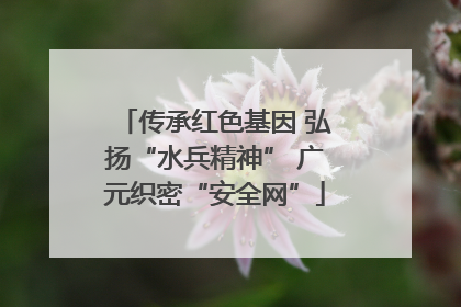 传承红色基因 弘扬“水兵精神” 广元织密“安全网”