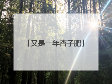 又是一年杏子肥