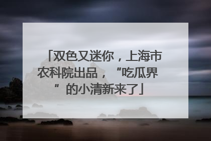 双色又迷你，上海市农科院出品，“吃瓜界”的小清新来了