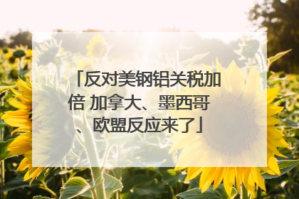 反对美钢铝关税加倍 加拿大、墨西哥、欧盟反应来了