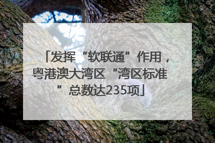 发挥“软联通”作用，粤港澳大湾区“湾区标准”总数达235项