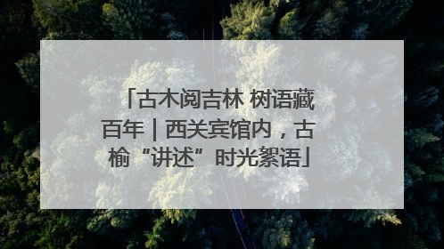古木阅吉林 树语藏百年｜西关宾馆内，古榆“讲述”时光絮语