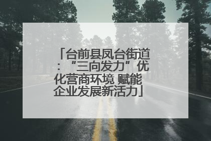 台前县凤台街道：“三向发力”优化营商环境 赋能企业发展新活力