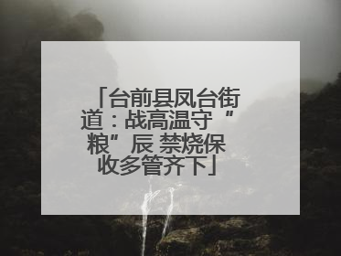 台前县凤台街道：战高温守“粮”辰 禁烧保收多管齐下