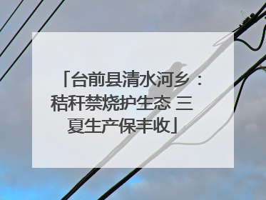 台前县清水河乡：秸秆禁烧护生态 三夏生产保丰收