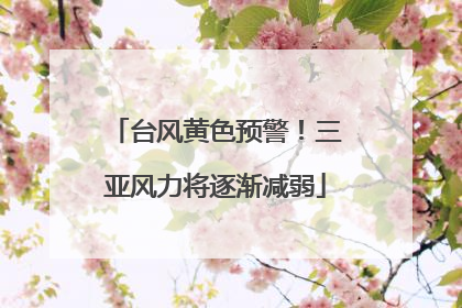 台风黄色预警！三亚风力将逐渐减弱