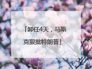 卸任4天，马斯克狠批特朗普