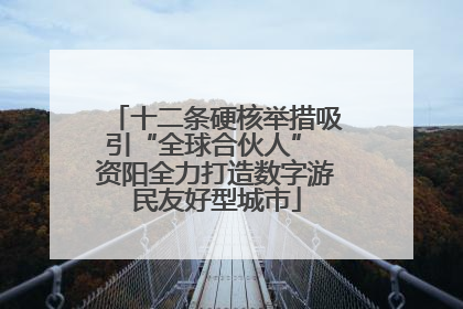 十二条硬核举措吸引“全球合伙人” 资阳全力打造数字游民友好型城市