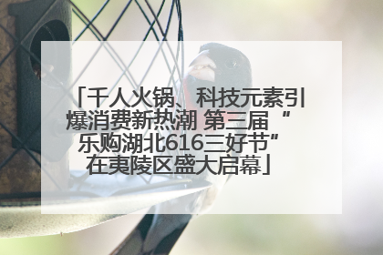 千人火锅、科技元素引爆消费新热潮 第三届“乐购湖北616三好节”在夷陵区盛大启幕