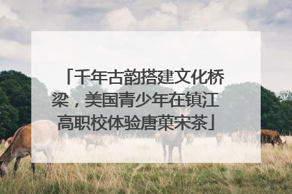 千年古韵搭建文化桥梁，美国青少年在镇江高职校体验唐菓宋茶