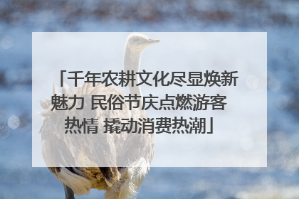 千年农耕文化尽显焕新魅力 民俗节庆点燃游客热情 撬动消费热潮