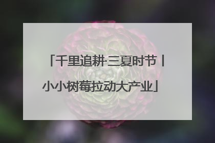 千里追耕·三夏时节丨小小树莓拉动大产业
