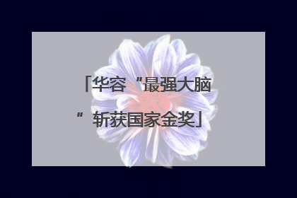 华容“最强大脑”斩获国家金奖