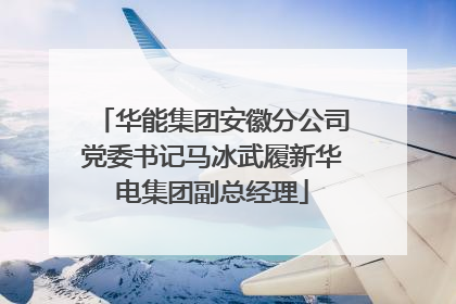 华能集团安徽分公司党委书记马冰武履新华电集团副总经理