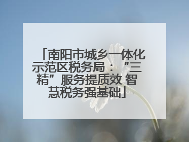 南阳市城乡一体化示范区税务局：“三精”服务提质效 智慧税务强基础