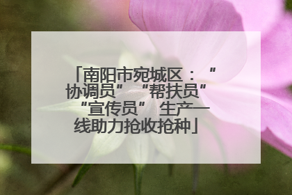 南阳市宛城区：“协调员”“帮扶员”“宣传员” 生产一线助力抢收抢种