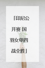 印尼公开赛 国羽女单四战全胜