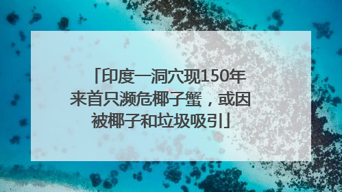 印度一洞穴现150年来首只濒危椰子蟹，或因被椰子和垃圾吸引