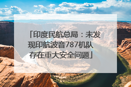印度民航总局：未发现印航波音787机队存在重大安全问题