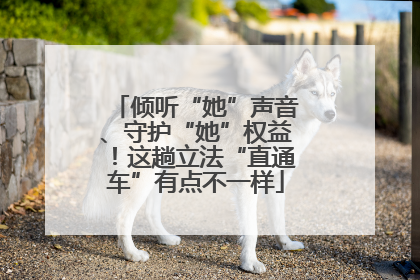 倾听“她”声音、守护“她”权益！这趟立法“直通车”有点不一样