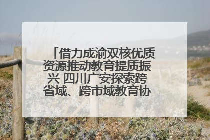 借力成渝双核优质资源推动教育提质振兴 四川广安探索跨省域、跨市域教育协同发展新路径