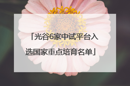 光谷6家中试平台入选国家重点培育名单