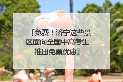 免费！济宁这些景区面向全国中高考生推出免票优惠