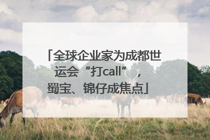 全球企业家为成都世运会“打call”，蜀宝、锦仔成焦点