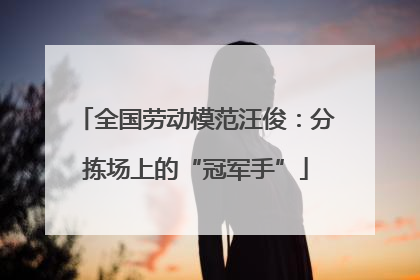 全国劳动模范汪俊：分拣场上的“冠军手”