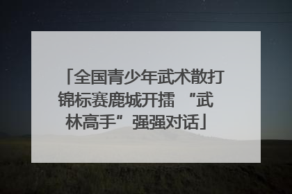 全国青少年武术散打锦标赛鹿城开擂 “武林高手”强强对话