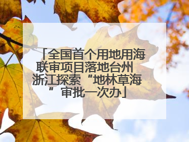 全国首个用地用海联审项目落地台州 浙江探索“地林草海”审批一次办