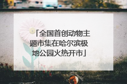 全国首创动物主题市集在哈尔滨极地公园火热开市