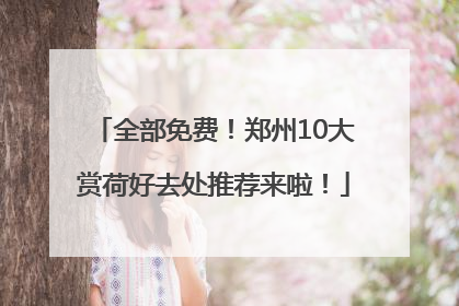 全部免费！郑州10大赏荷好去处推荐来啦！