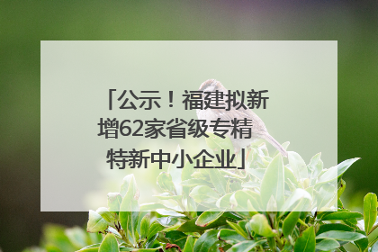 公示！福建拟新增62家省级专精特新中小企业
