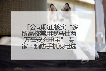 公司称正核实“多所高校禁用罗马仕两万毫安充电宝” 专家：预防手机没电选中等体积产品即可
